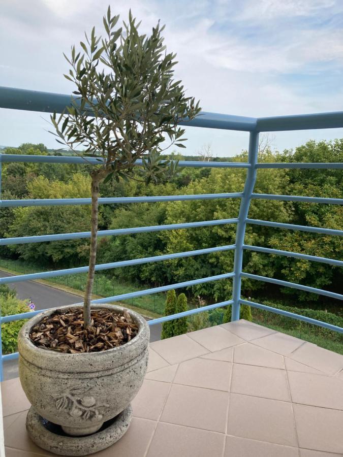 Libellula Apartman ヘーヴィーズ エクステリア 写真